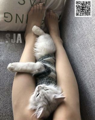 露脸啪啪极品女神疯狂上位_1080P神马影院手机在线
